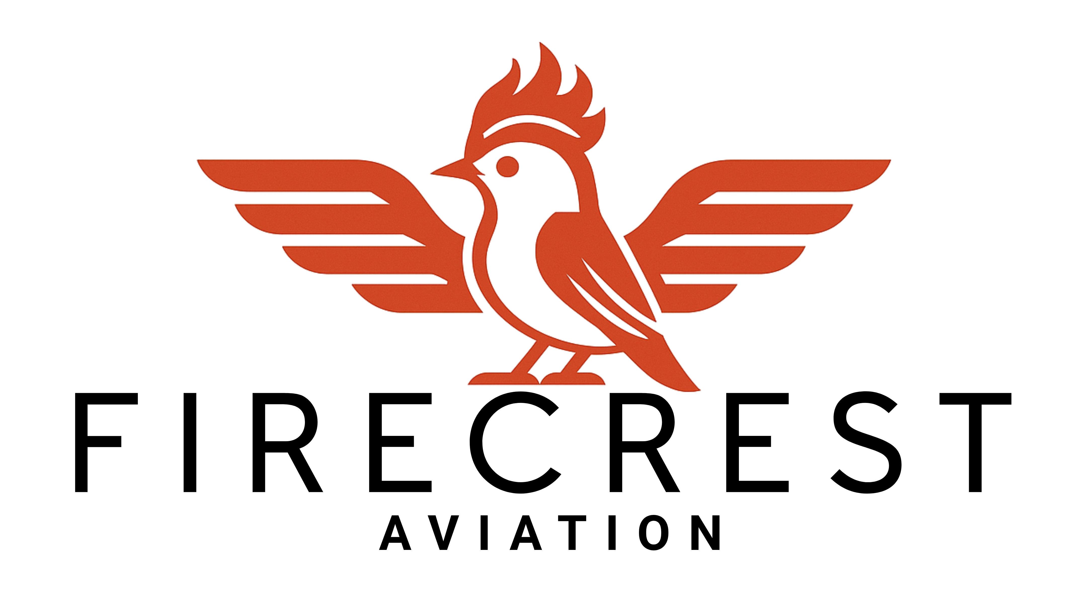 Firecrest Aviation (1080 x 1350 px)-2